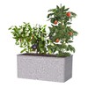 Panacea 83475 Vintage Rectangle Raised Garden Bed Planter