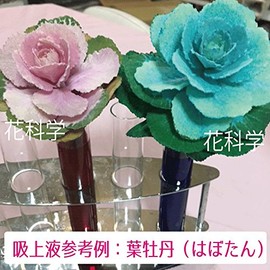 Preserved 吸上 Bending Fluid [Leafy (Leaf), Small] sf – Medium Fluid 200ml , Blue