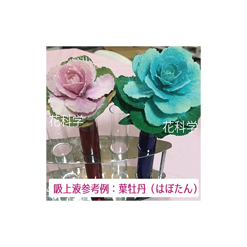 Preserved 吸上 Bending Fluid [Leafy (Leaf), Small] sf – Medium