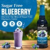 Syruvia Sugar Free Blueberry Syrup 25.4 fl oz, for Beverages,