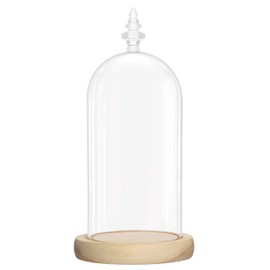 Belle Vous Glass Bell Glass Dome Large with Wooden Base - 26.5 cm Decorative Glass Hood as Table Decoration, Decorative Glass Dome Transparent Glass Bell, Glass Dome Cloche with Base for Lights,