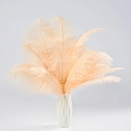 30pcs Natural Champagne Ostrich Feathers 8-10inch (20-25cm) Craft Ostrich Feather Mask Plume Bulk for Hats Wedding Party Centerpieces,DIY Flower and Home Decoration,Pampas Grass Decor
