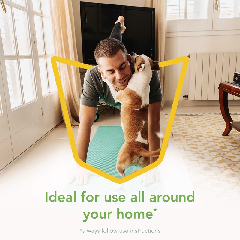 Raid Essentials Multi-Insect Killer Spray Bottle, Child & Pet Safe,