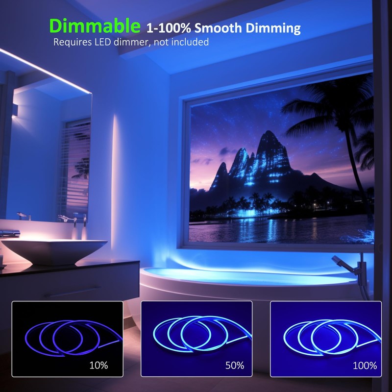 JOYLIT 4MM Width Neon LED Strip Lights Blue 16.4FT/5M, 24V