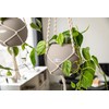 Lechuza Macrame Cotton Pure 120 Hanging Basket Black 13899