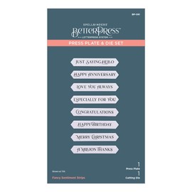 Spellbinders Fancy Sentiment Strips BetterPress Press Plate, Metal