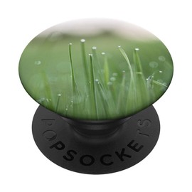 Rain Drops Dew Lawn Green Grass Summer Pop Mount Socket Grip