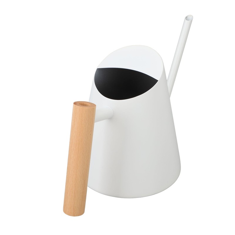 Watering Can with Long Spout 800ml Stainless Steel Matte Indoor