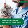 Advantage II Large Cat Vet-Recommended Flea Treatment & Prevention |