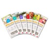 Filtrete SI-1-TB Whole House Air Freshener-Floral, 1 Count (Pack of