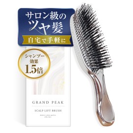 Grand Peak Hair Brush, Easy Scalp Care & Glossy Hair: Includes Storage Pouch, Scalp Lift Brush, Prevents Hair Loss, Hair Growth, Massage, Lifts Up, For Baths, Men & Women