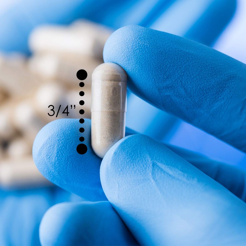 Digestive Enzymes Capsules Made with Marshmallow Root Aids in Digestion,