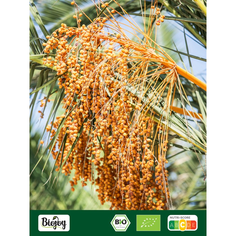 Biojoy Organic Date Sugar, Unrefined and Natural, from Deglet Nour,