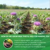 WOTIHA 60 Count Premium Milk Thistle Tea Bags - 100%