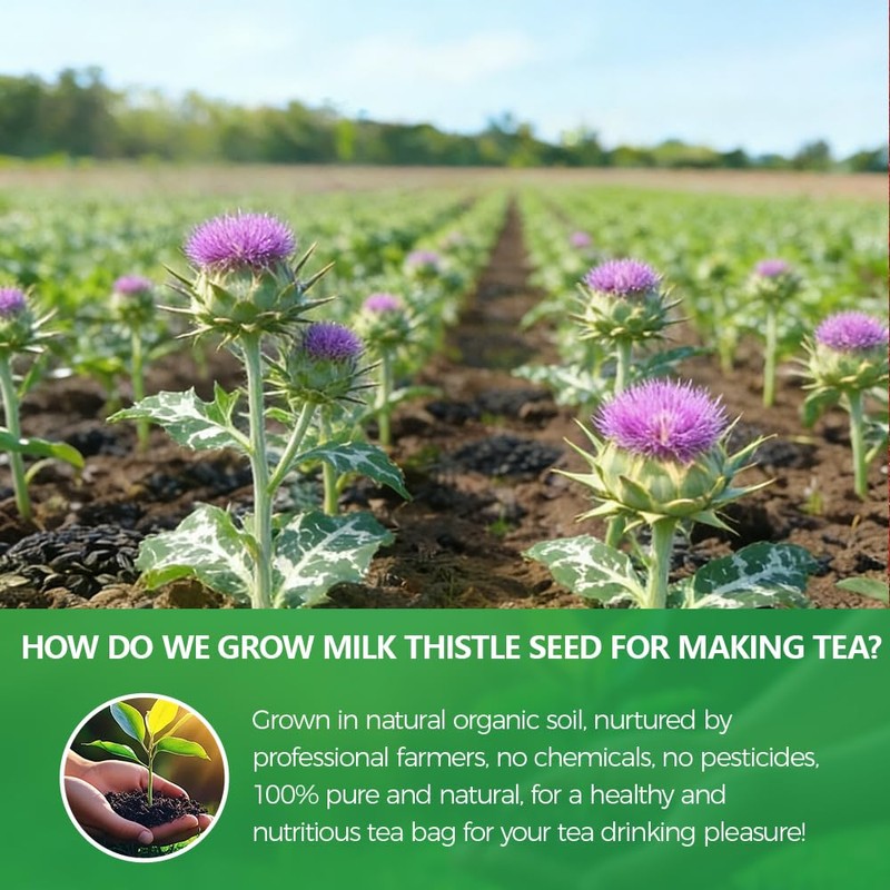 WOTIHA 60 Count Premium Milk Thistle Tea Bags - 100%