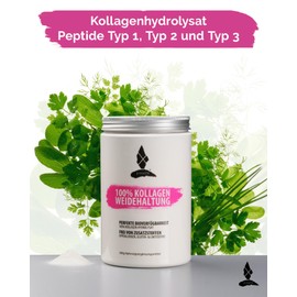 primalife PRIMALIFE Collagen Pulver 500g - 100% reines Kollagen Pulver aus Weidehaltung - Hoher Proteingehalt mit 9,6g Eiweiß pro Portion - Mit Kollagen Peptiden Typ 1, 2 & 3