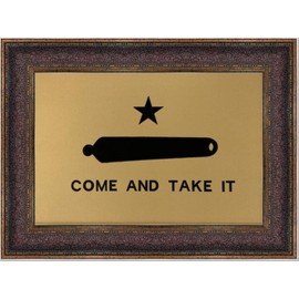 Framed Come And Take It Flag | Hand-Stretched Real Cotton Cloth Embroidered Flag | 23L X 31W Inches | Custom Framed under premium crystal clear 2.5mm acrylic glass | Hand-crafted in America