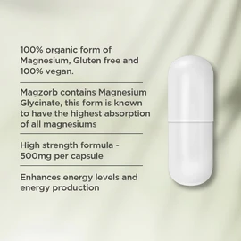 Vitaceuticals MagZorb Magnesium Glycinate 500mg - 100 Capsules Vegan & Gluten Free