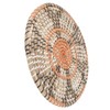 Grass Woven Placemats Nordic Style Innovative Round Placemats for Dining