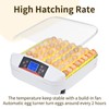 Egg Incubator ，56 Eggs Fully Automatic Egg Incubator with LED