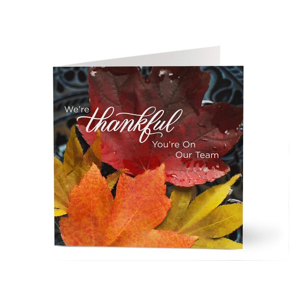 Hallmark Business Thanksgiving Cards for Employee Appreciation (Thankful Team) (Pack of 100 Greeting Cards)