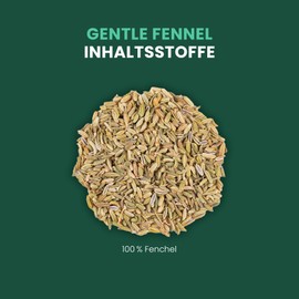 fitvia Herbal Tea "Gentle Fennel": Loose Tea, Fennel Tea - Real Seeds, No Added Sugar, 100 g