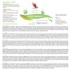 Carnium Botanicals Algae Omega 3 - Omega 3 Vegan Algae
