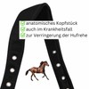 Amesbichler Reitsport HorseGuard Muzzle Feeding Brake for Horses with Teddy
