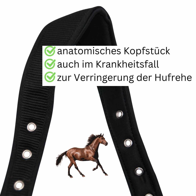Amesbichler Reitsport HorseGuard Muzzle Feeding Brake for Horses with Teddy
