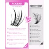 Kit De Extensiones De Pestañas Aphrodite Lash Clusters Wispy Natural