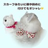 Caniribo Handmade Cat Collar, Cat Collar, Ribbon, Scrunchie Collar with