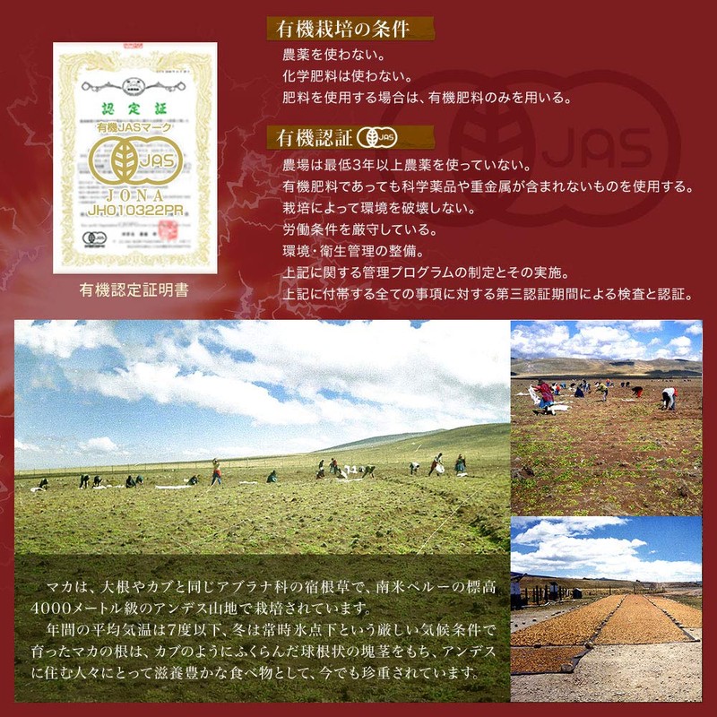 ユウキ製薬 SP 超力精 2個セット 40日分 40カプセル サプリ 有機マカ 亜鉛 シトルリン