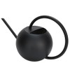 1L Stainless Steel Practical Long Mouth Watering Cans Household Houseplant