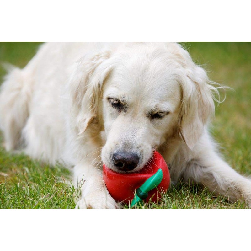 Petface Latex Tomato Soft Chew Dog Toy, Large