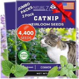 NatureZ Edge Catnip Seeds for Planting, 2.6 Grams, 4400+ Herb Seeds, Indoor or Outdoor Growing, Your Cat Will Love Them, Non-GMO