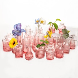 UMEIED 24 Pack Glass Bud Vases in Bulk for Centerpieces, Clear Vintage Decorative Small Vases for Flowers, Wedding Rustic Home Table Decor (Pink)