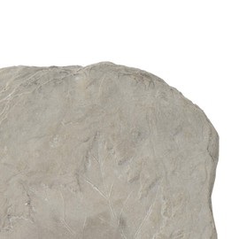 Benjara Concrete Fossil Accent Stone with Maple Leaf Imprint, White, Gray