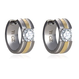 Titanium Earrings for Sensitive Ears, Titanium Hoop Earrings for Men Women, Hypoallergenic Titanium Earrings, Titanium, Cubic Zirconia