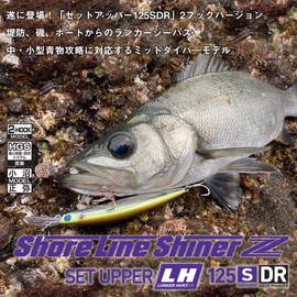 DAIWA Shoreline Shiner Z Set Upper Lanker Hunter 125S-DR Blupin Sardine