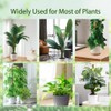 Moss Pole Monstera Plant Support: 4 Pack 16 inch Stackable