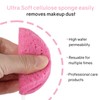 HUAXIN BIOTECHNOLOGY 50-Count Compressed Facial Sponges,100% Natural Cellulose Cosmetic Facial