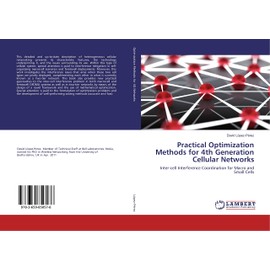 Practical Optimization Methods for 4th Generation Cellular Networks: Inter-cell Interference Coordination for Macro and Small Cells