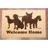 Floortex Doortex Printed Porch Mat, Indoor Entrance Mat, Welcome Mat