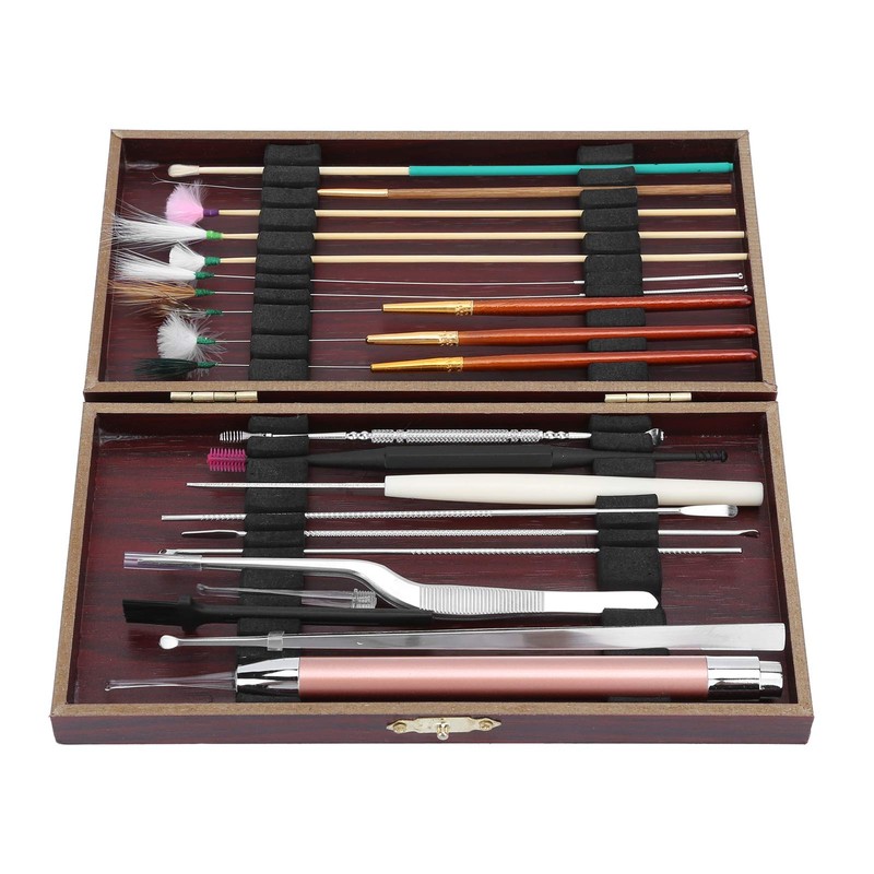 20pcs Stainless Steel Earwax Remover Kit,Ear Wax Removal Spoon Curette