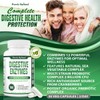Purely Optimal Digestive Enzyme Supplement - Comprehensive Gut Health Support