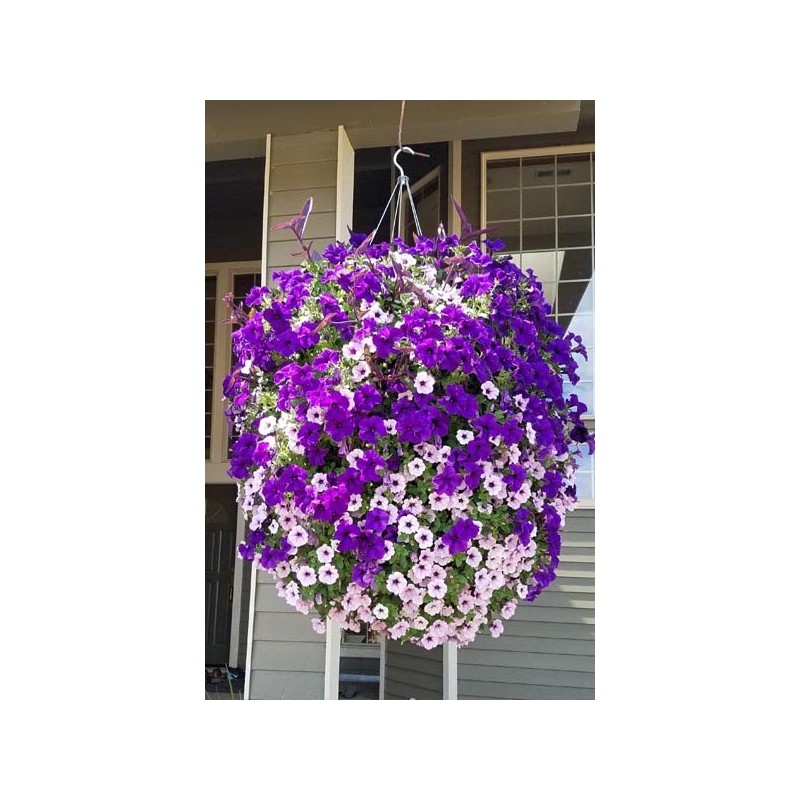 5-2 Humic/Fulvic Acid + Seaweed Extract (10 Pound)