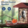 PeckCam® Bird Feeder with Camera, 2K Ultra HD Live Stream
