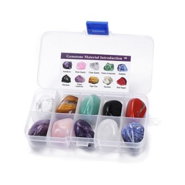 JSDDE 10pcs Mineral Variety Tumbled Crystals Gemstone Reiki Healing Energy Meteorite Stone for Chakra Balancing Meditation Crystal Collection