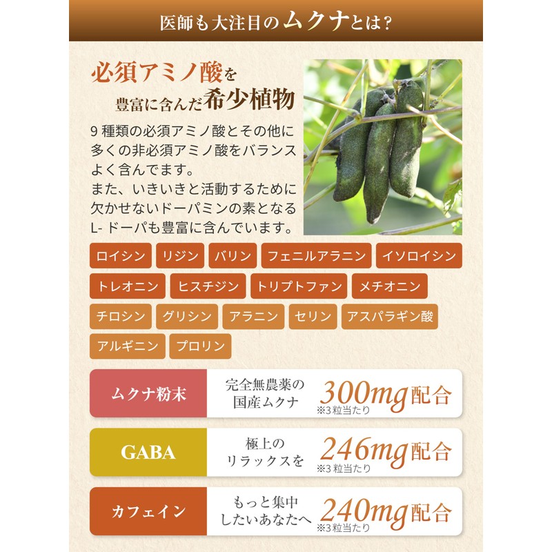 【医師監修】集中力 やる気 サプリ 国産無農薬ムクナ 1袋9000mg 30日分 90粒 1日3粒 GABA カフェイン