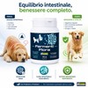FERMENTIFLORA - Probiotici per Cani Appetibili, Fermenti Lattici Cani e